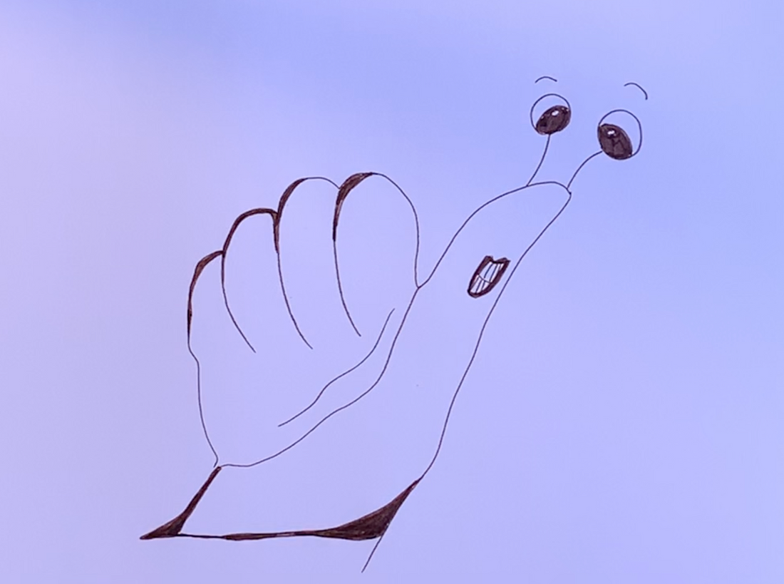 Teil 2 - Tiere zeichnen mit der Hand: Schnecke